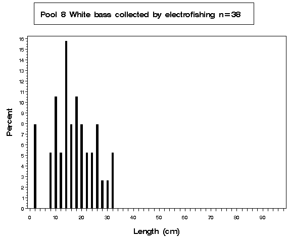 Pool 8 White bass collected by electrofishing