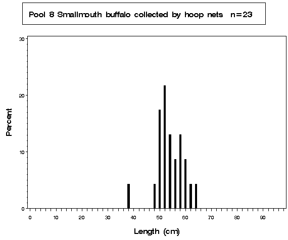 Open River Smallmouth buffalo collected by hoop netting