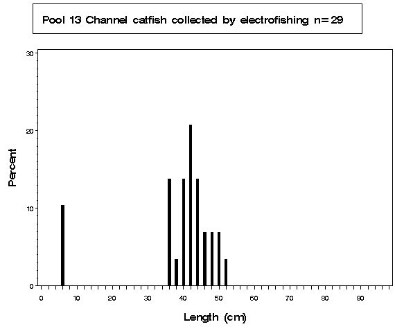 Pool 13 Channel catfish collected by electrofishing