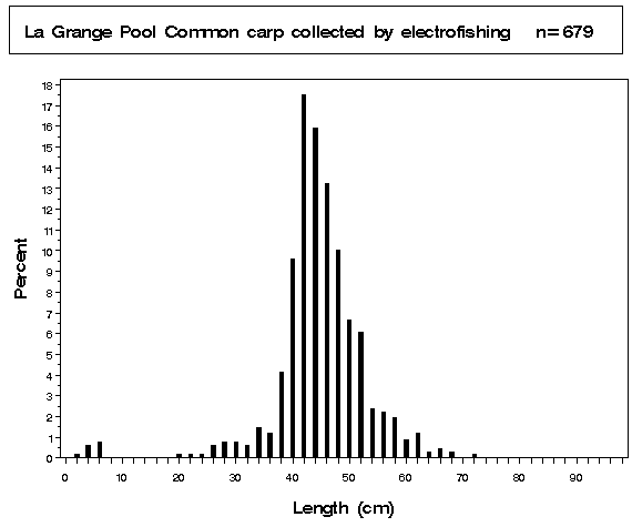 La Grange Pool Common carp collected by electrofishing