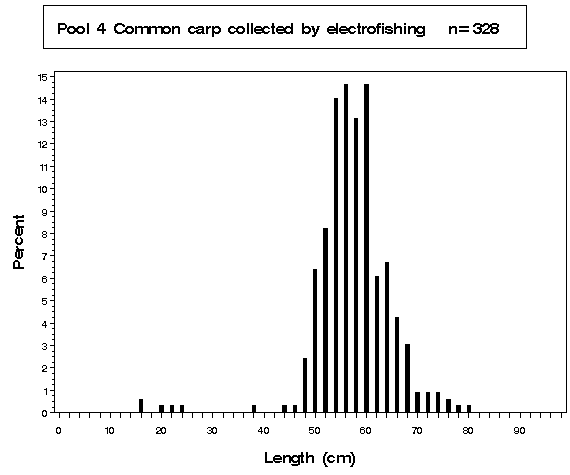 Pool 4 Common carp collected by electrofishing