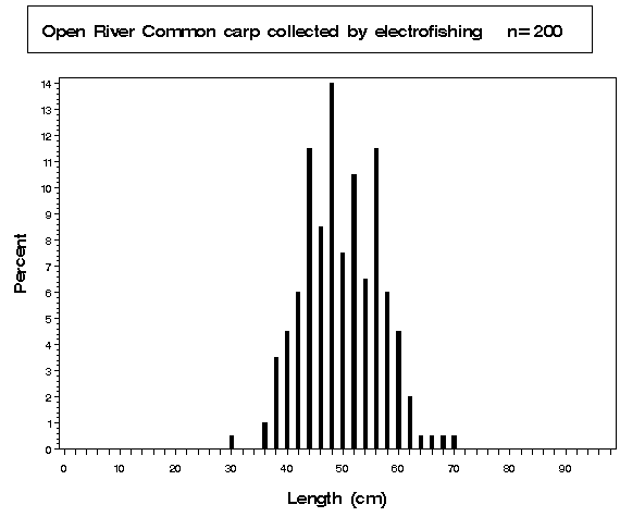Open River Common carp collected by electrofishing