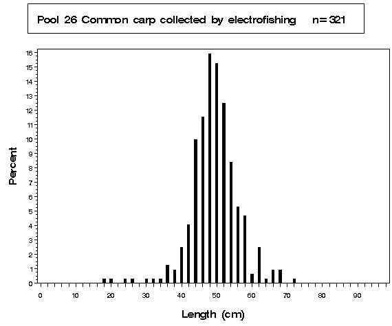 Pool 26 Common carp collected by electrofishing