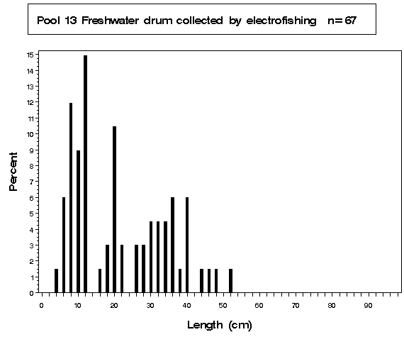 Pool 13 Freshwater drum collected by electrofishing