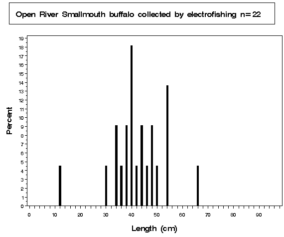 Open River Smallmouth buffalo collected by electrofishing
