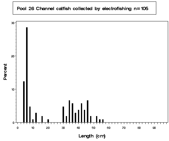 Pool 26 Channel catfish collected by electrofishing
