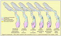 Sites where species were recorded in Pool 13