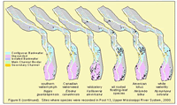 Sites where species were recorded in Pool 13