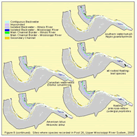 Sites where species were recorded in Pool 26