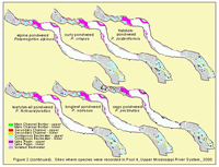 Sites where species were recorded in Pool 4