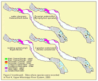 Sites where species were recorded in Pool 4