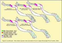 Sites where species were recorded in Pool 4