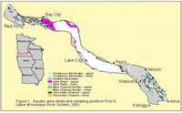 Aquatic area strata and sampling points in Pool 4