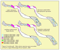 Sites where species were recorded in Pool 4