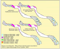 Sites where species were recorded in Pool 4