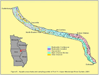 Aquatic area strata and sampling points in Pool 8