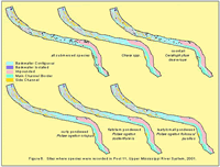 Sites where species were recorded in Pool 8