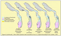 Sites where species were recorded in Pool 13