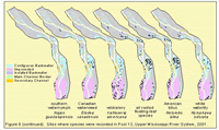 Sites where species were recorded in Pool 13