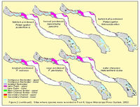 Sites where species were recorded in Pool 4