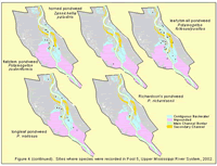 Sites where species were recorded in Pool 5