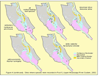 Sites where species were recorded in Pool 5