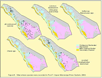 Sites where species were recorded in Pool 7