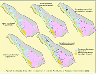 Sites where species were recorded in Pool 7