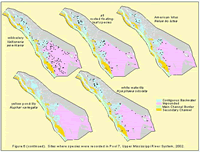 Sites where species were recorded in Pool 7