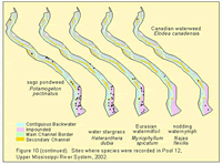 Sites where species were recorded in Pool 12