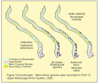 Sites where species were recorded in Pool 12