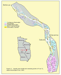 Aquatic area strata and sampling points in Pool 13