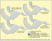 Sites where species were recorded in Pool 26