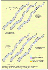 Sites where species were recorded in La Grange Pool 