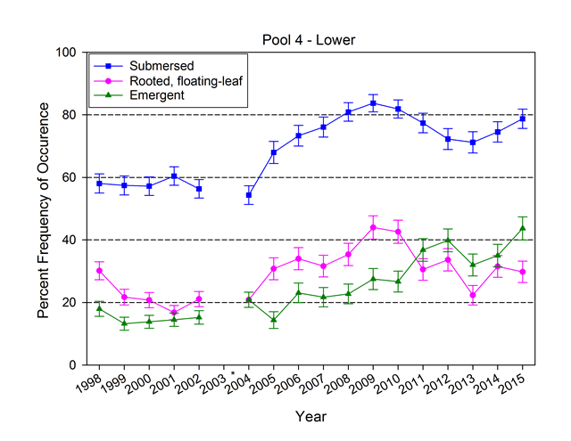 Pool 4 - lower