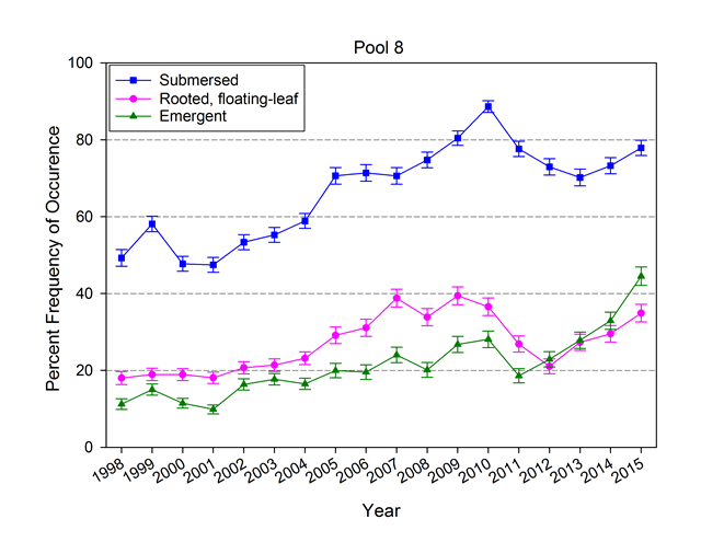 Pool 8