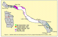 Aquatic area strata and sampling points in Pool 4