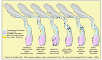 Sites where species were recorded in Pool 13