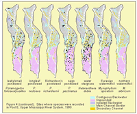Sites where species were recorded in Pool 8