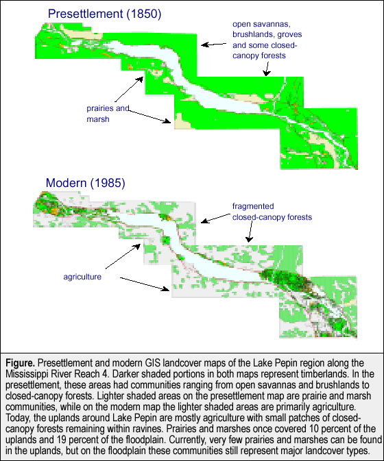 landcover maps of Lake Pepin