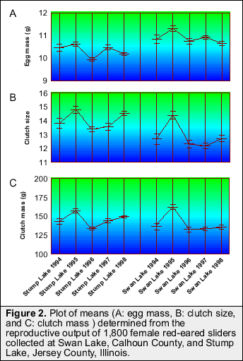 Red Ear Slider Age Chart