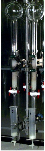 Extraction of para-toluenesulfonamide from filet tissue