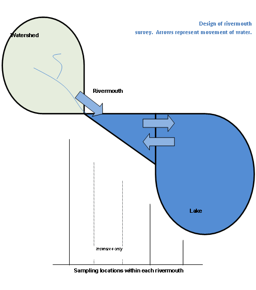 Sampling locations within each rivermouth