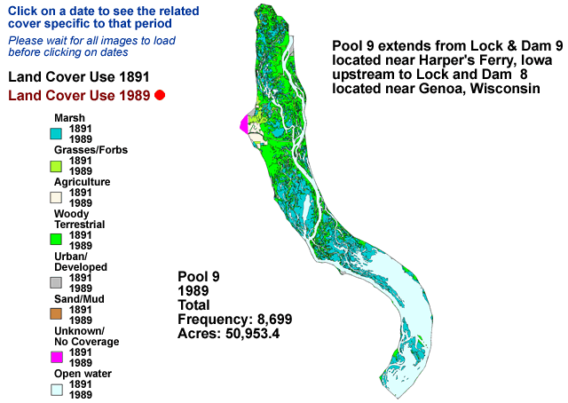 Pool 9