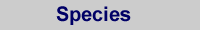 Species