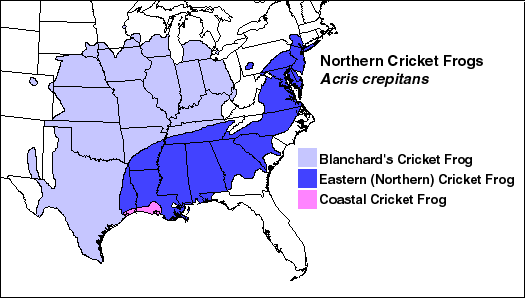 Range of Blanchard's cricket frog