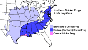 Range of Blanchard's cricket frog