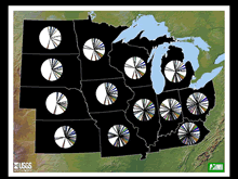 Distribution of species in the Upper Mississippi Region of ARMI 