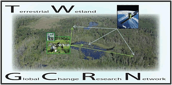 Terrestrial Wetland Global Change Research Network