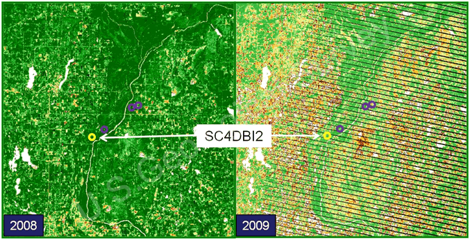 Fig. 12b. Images of the Normalized Difference Vegetation Index (NDVI) for the same landscape portion shown in Fig. 10a produced from data from the same satellites at the same time. More green indicates more photosynthetic activity. The differences in vegetation between the two years were associated positively with the relative dryness shown in Fig. 10a. 
